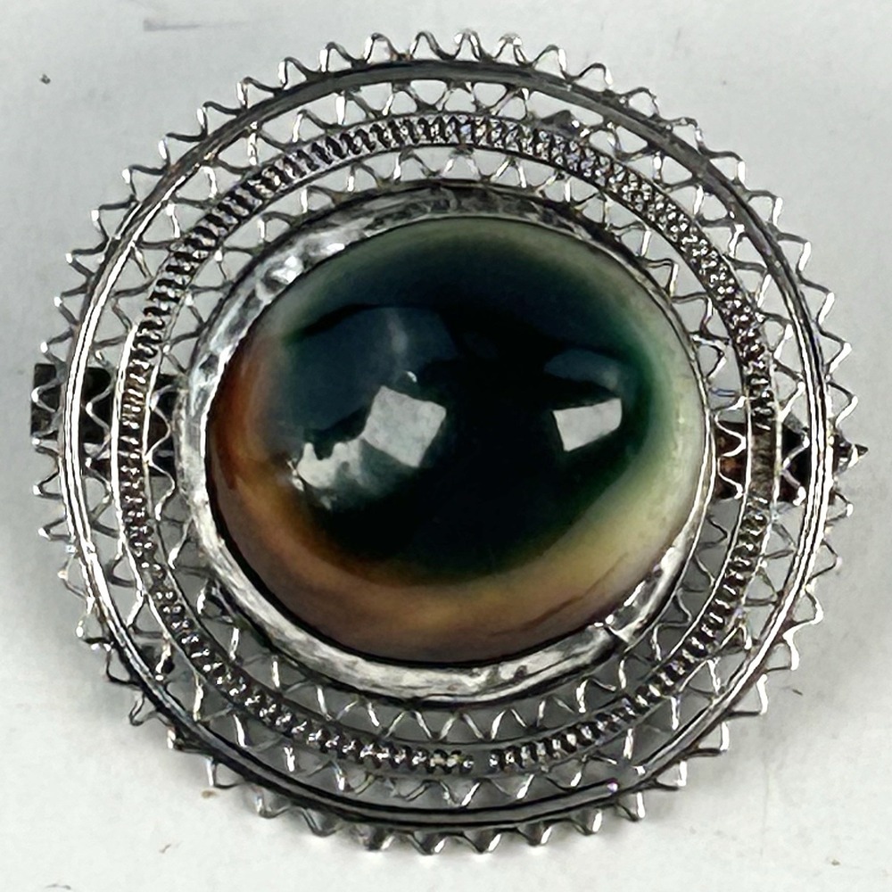 Operculum Shiva Eye Shell Filigree Brooch C-Clasp 37mm Operculum